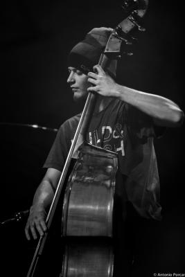 Martin Kocián (2015). Ostrich Quartet.